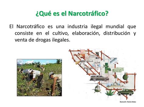 Narcotrafico En Mexico