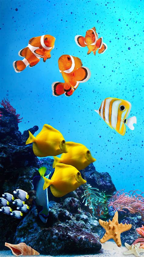 Underwater Tropical Fish Wallpaper