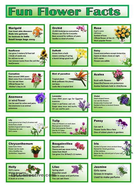 Fun Flower Facts Cards Facts For Kids Senior Living Activities