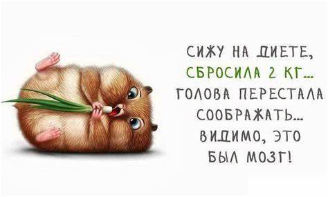 Открытка, картинка, прикольная открытка про диеты, сижу на диете Картинка - Открытка, картинка, прикольная открытка про диеты, сижу на диете