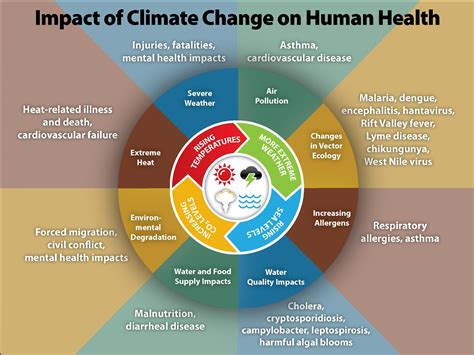 How Climate Change Impacts Our Health Dialogue Blog Research