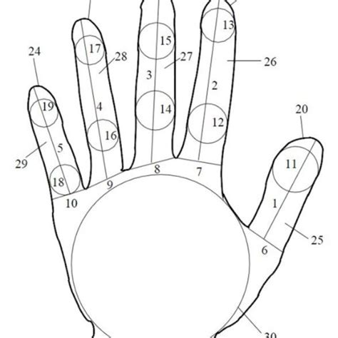 Hand Geometry Identification Technology Download Scientific Diagram