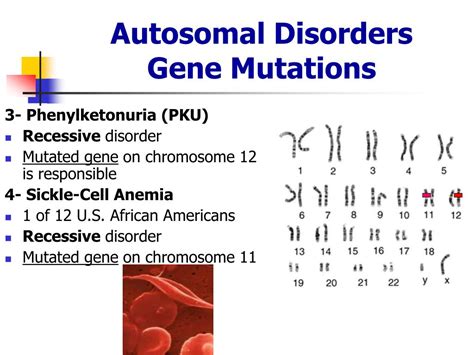 Ppt Genetic Disorders Powerpoint Presentation Free Download Id444219