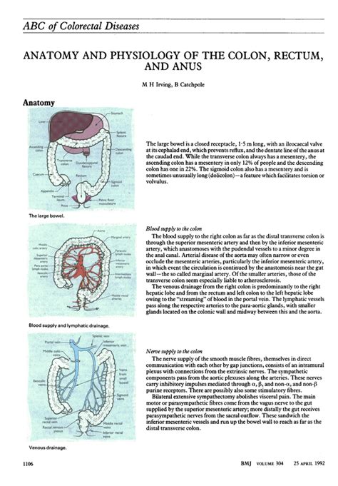 Abc Of Colorectal Diseases Anatomy And Physiology Of The Colon Rectum