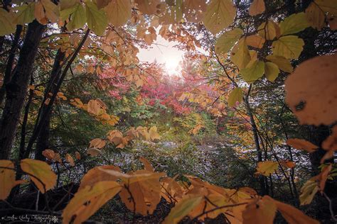 Autumn Wonderland Photograph By Alexa Keeley Fine Art America