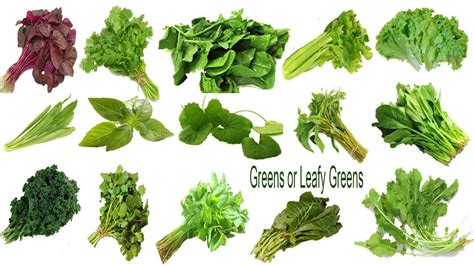 Green Leafy Vegetables Names And Pictures