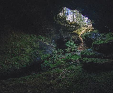 The Forest Map Of Cave Entrances