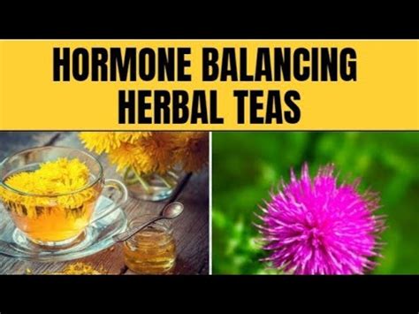 Herbal Teas Great For Balancing Female Hormones Health Is Wealth YouTube