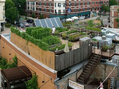 Rooftop Farming Is Getting Off The Ground Wbur News