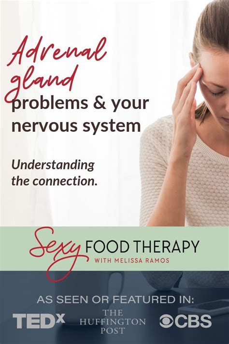 Adrenal Gland Problems Adrenal Fatigue Adrenals And The Nervous