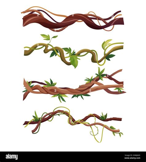 Liana Or Vine Winding Branches Stock Vector Image And Art Alamy