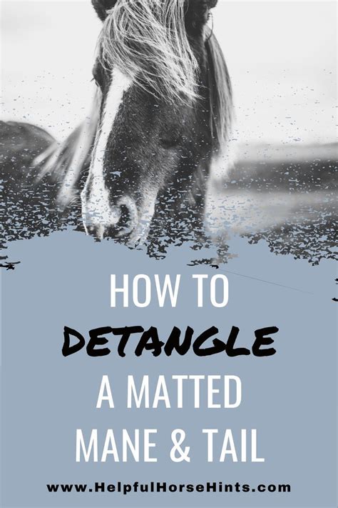 How to detangle fine hair. Detangling A Matted Tail - Extreme Before & After | Horse ...