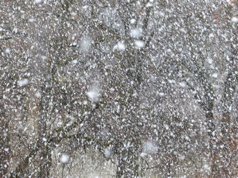 Free Images Cold Winter Wind Frost Asphalt Ice Weather Flake