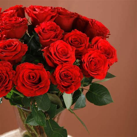 Enticing Red Roses In Vase Red Rose In Vase Flower Vase Arrangement