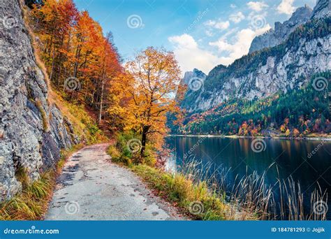 Amazing Autumn Scene Of Vorderer Gosausee Lake Gorgeous Morning View