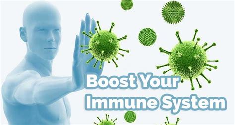 Using Herbs Help Boost The Immune System