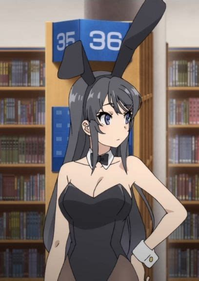 Mai Sakurajima Seishun Buta Yarou Wa Bunny Girl Menina Anime