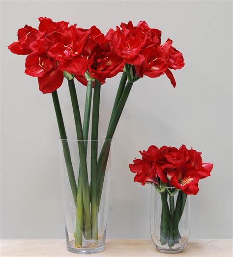 Artificial Red Amaryllis Queen And Short Stem Flower Plant Decor