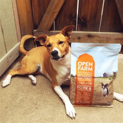 Dog food recalls issued voluntarily by companies and by the food and drug administration. Rubicon Days: Reasons We Love Rotation Feeding with Open ...