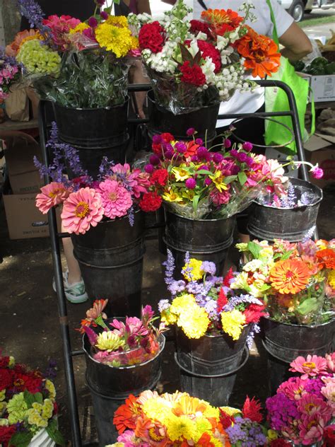 Providence Farmers Market Flowers Plants Farmer