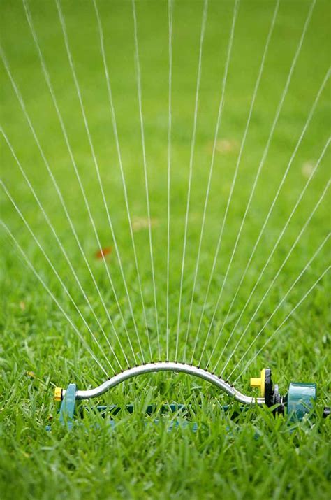 Starting no later than june 1, all customer facing services will resume normal business operations. Manage your Lawn and Water Use Wisely