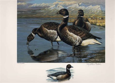 Alaska 11 1995 State Duck Stamp Print Pacific Brant Executive Edition