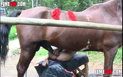 Curvy Blonde Whore Stuffs Her Asshole With A Horses Big