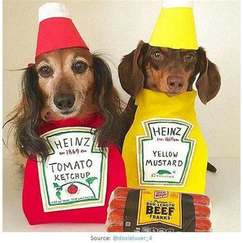 20 Creative Ways To Dress Your Weenie This Halloween Barkpost