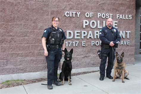 K9 Police Dogs For Patrol And Detection