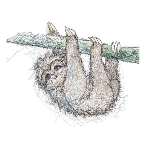 Be Slothful Slow Down Digital Sketch Of Sloth Digital Art By Olena Art