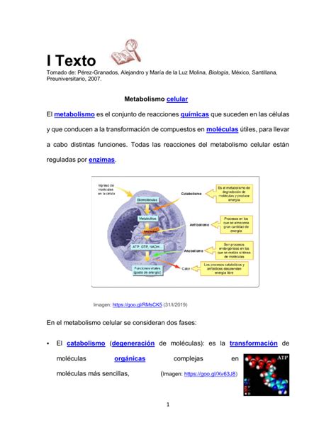 Metabolismo Celular Catabolismo Mol 233 Culas Que Intervienen En El