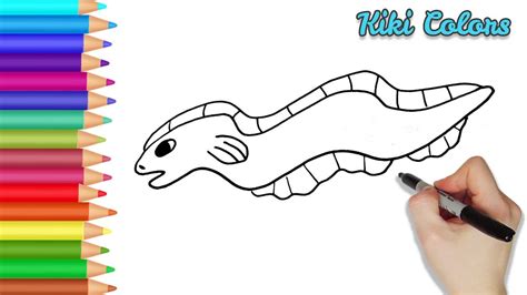 How To Draw Easy Eel Part 1 Teach Drawing For Kids And Toddlers