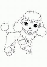 Coloring Poodle Puppies Printable Dogs Poodles Popular sketch template