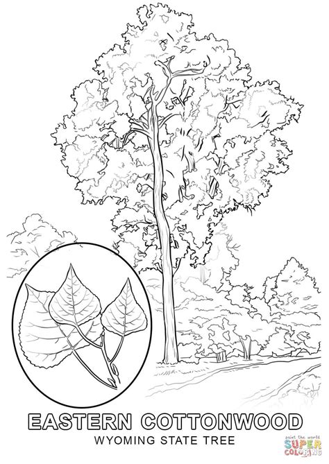 Color the flag's background blue with a white inner border and a red outer border. Wyoming State Tree coloring page | Free Printable Coloring ...