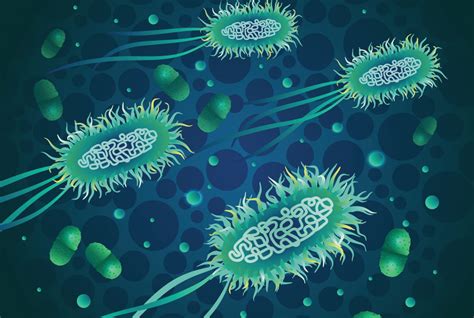 Abundance Of Infectious Bacteria In The Gut May Predict Risk Of Urinary