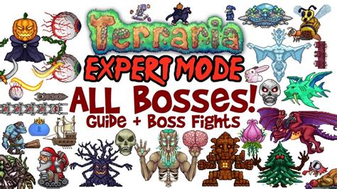 Terraria Boss Answered Your Most Burning Questions About Pre Hardmode