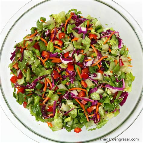 Asian Chopped Salad With Sesame Vinaigrette Recipe Health Timers