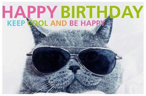 pin by andrea campa on happy birthday happy birthday cat cool cats cat birthday