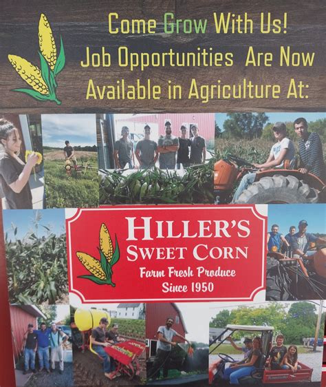 Hillers Sweet Corn Farm