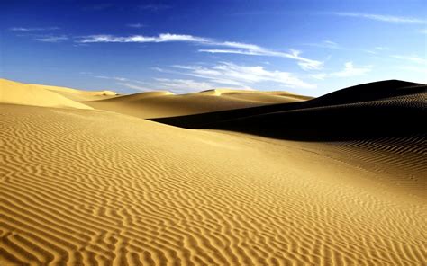 Sand Hills In The Sahara Desert Phone Wallpapers