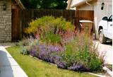 Backyard Landscaping Bakersfield Images