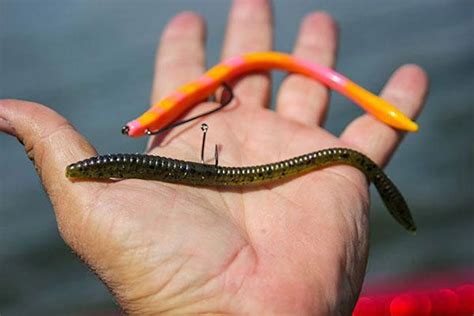 Wacky Rig And Texas Rig Floating Worms Bassfishing Fishing Tips