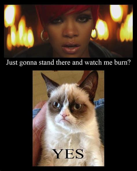 Grumpy Cat And Rihanna Funny Grumpy Cat Memes Grumpy Cat Meme