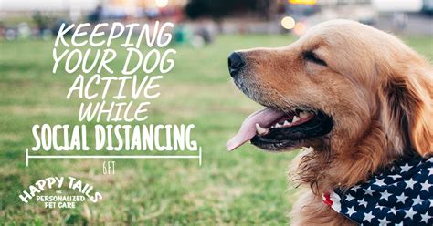 Keeping Your Dog Active While Social Distancing Happy Tails Inc