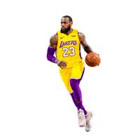 When designing a new logo you can be inspired by the visual logos found here. Download Lebron James Free PNG photo images and clipart ...
