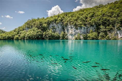 Plitvice Lakes National Park Swimming