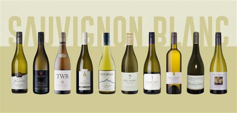 Easy Guide To The Best New Zealand Sauvignon Blanc