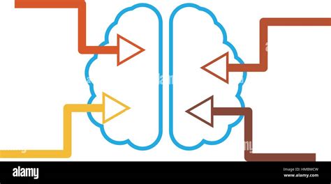 infographics represent the brain symbol with four arrows shows directions of information flow