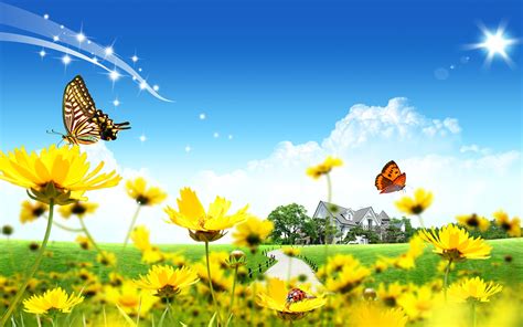 Yellow Flowers Butterflies Hd Wallpaper2560x1600