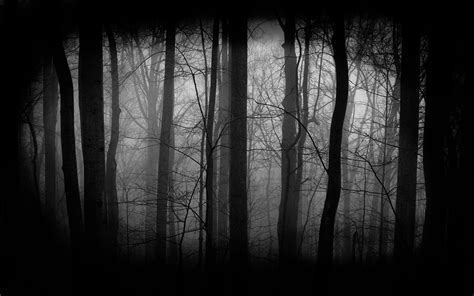 Creepy Forest Wallpaper 66 Images